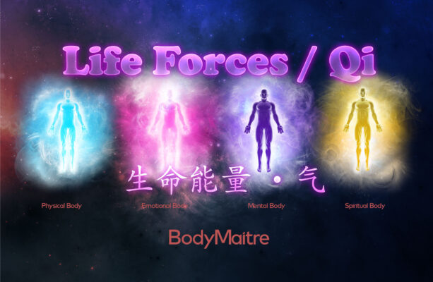 Life Forces